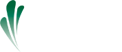 Verdezyne 